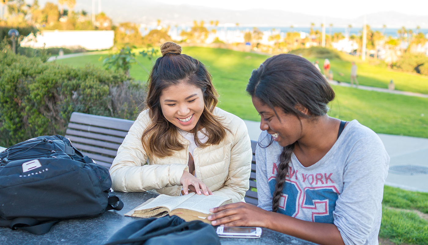 Students studying outside